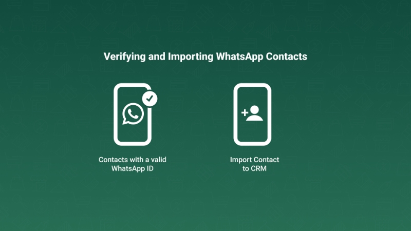 Verifying and Importing Contacts in WhatsApp Business API