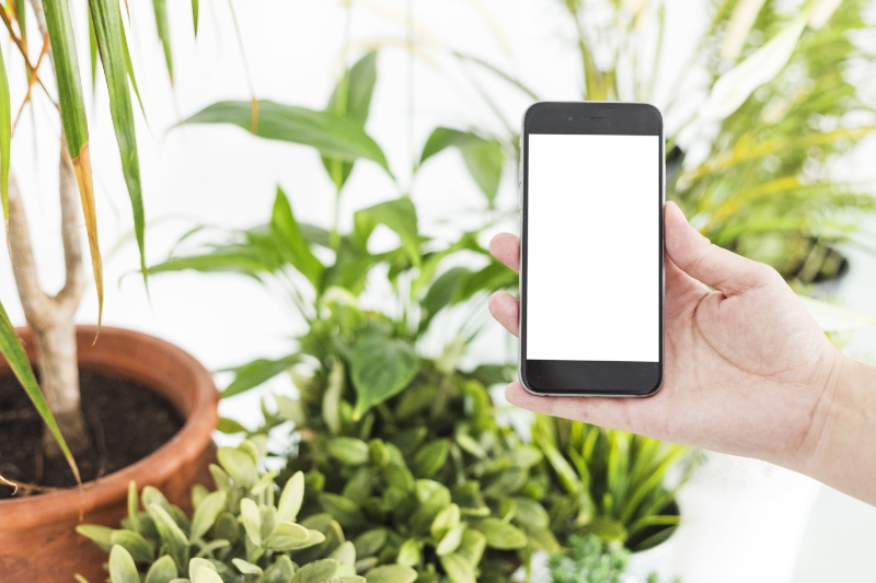 Maximize Your Gardening Business with WhatsApp: Seasonal Tips and Exclusive Offers