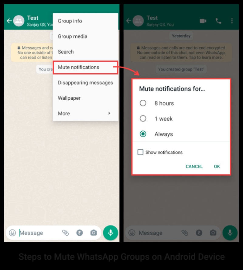 How to Mute WhatsApp Groups_DoubleTick_Ultimate guide to WhatsApp group latest edition