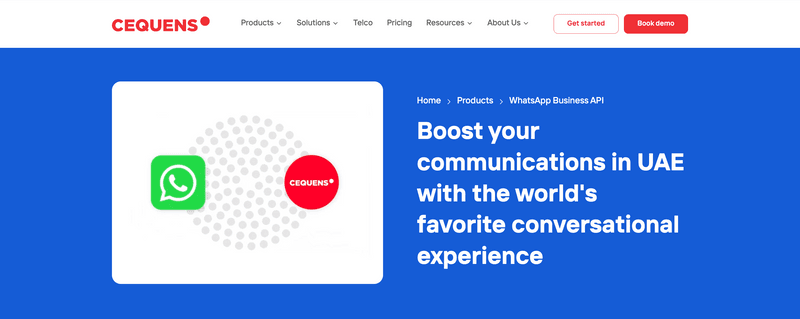 Top WhatsApp Business API & Shared Inbox Providers in Dubai_ Cequens